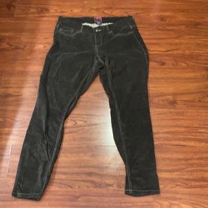 Torrid Brown Corduroy Pants